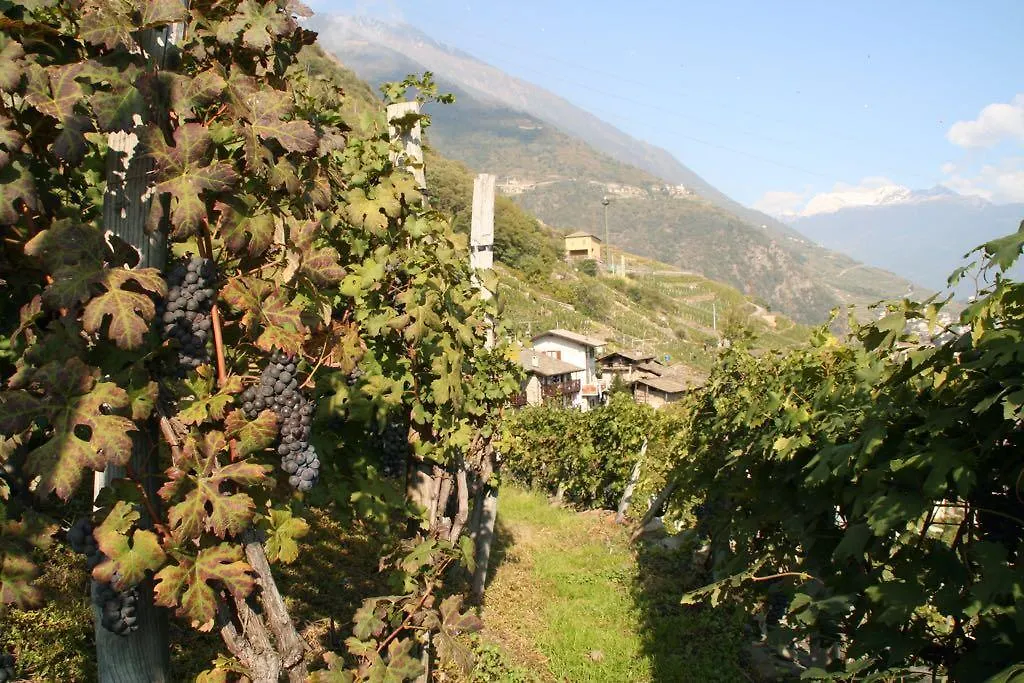 Casa Ragno Villa Villa di Tirano Holiday home